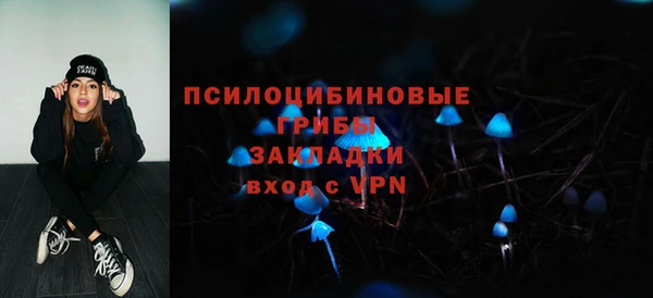 mdpv Лихославль