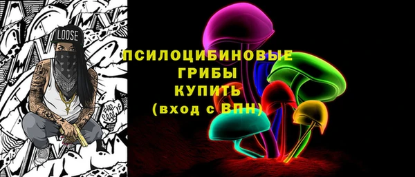 индика Орехово-Зуево
