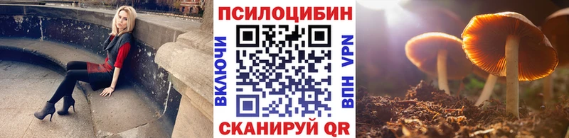 сколько стоит Камень-на-Оби Псилоцибиновые грибы Cubensis