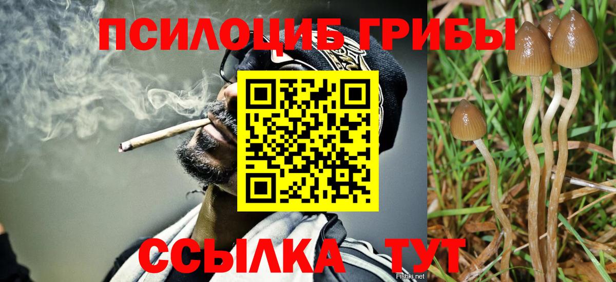 Галлюциногенные грибы MAGIC MUSHROOMS Камень-на-Оби