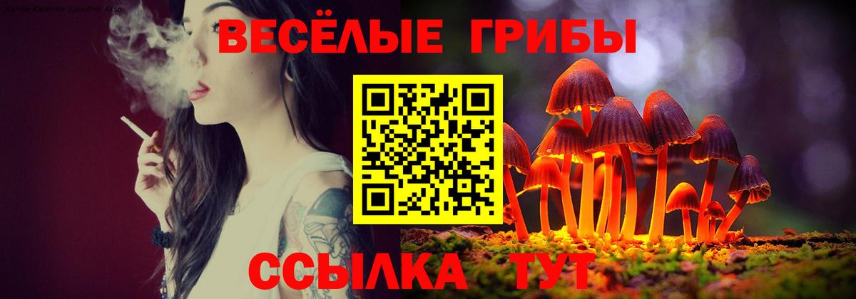Камень-на-Оби  Галлюциногенные грибы мухоморы  купить  сайты  Вход с VPN 